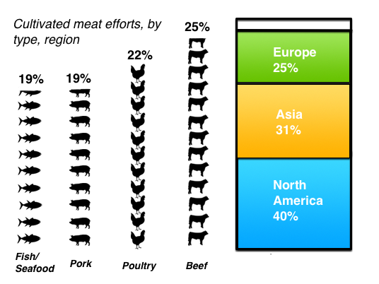 infographic of location, species of cultivated meat companies, 2020