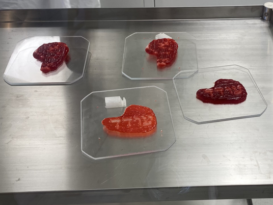 Four 3D printed steaks in a lab at MeaTech's facility in Israel 