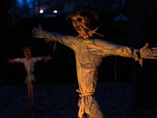 photo of scarecrow/straw man