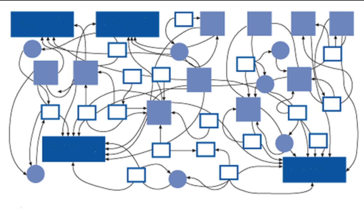 Image of a "spaghetti map"